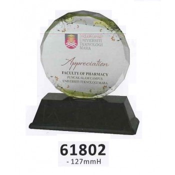 61802 Acrylic Round Plaque